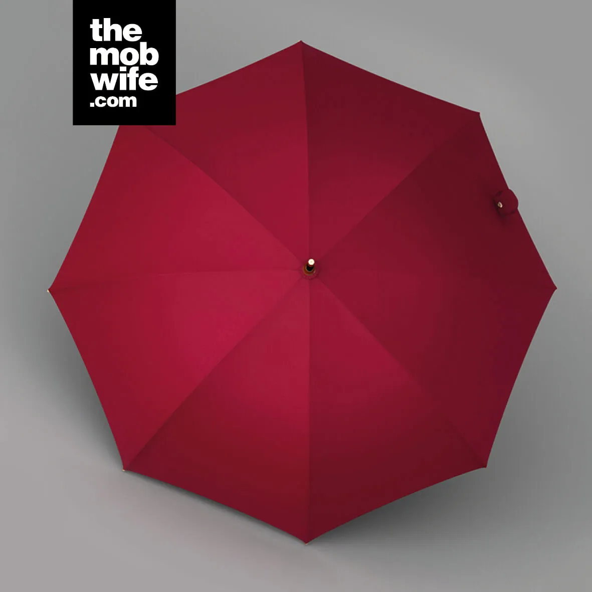 Elegant Women Fashion Designer Long Windproof Umbrella - Image 7