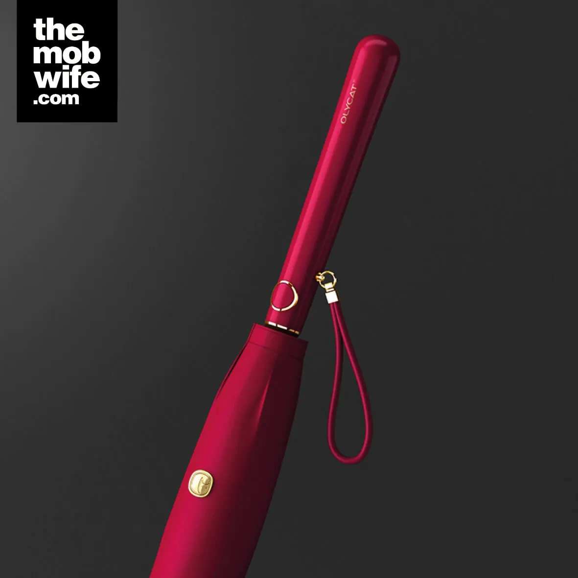 Elegant Women Fashion Designer Long Windproof Umbrella - Image 8