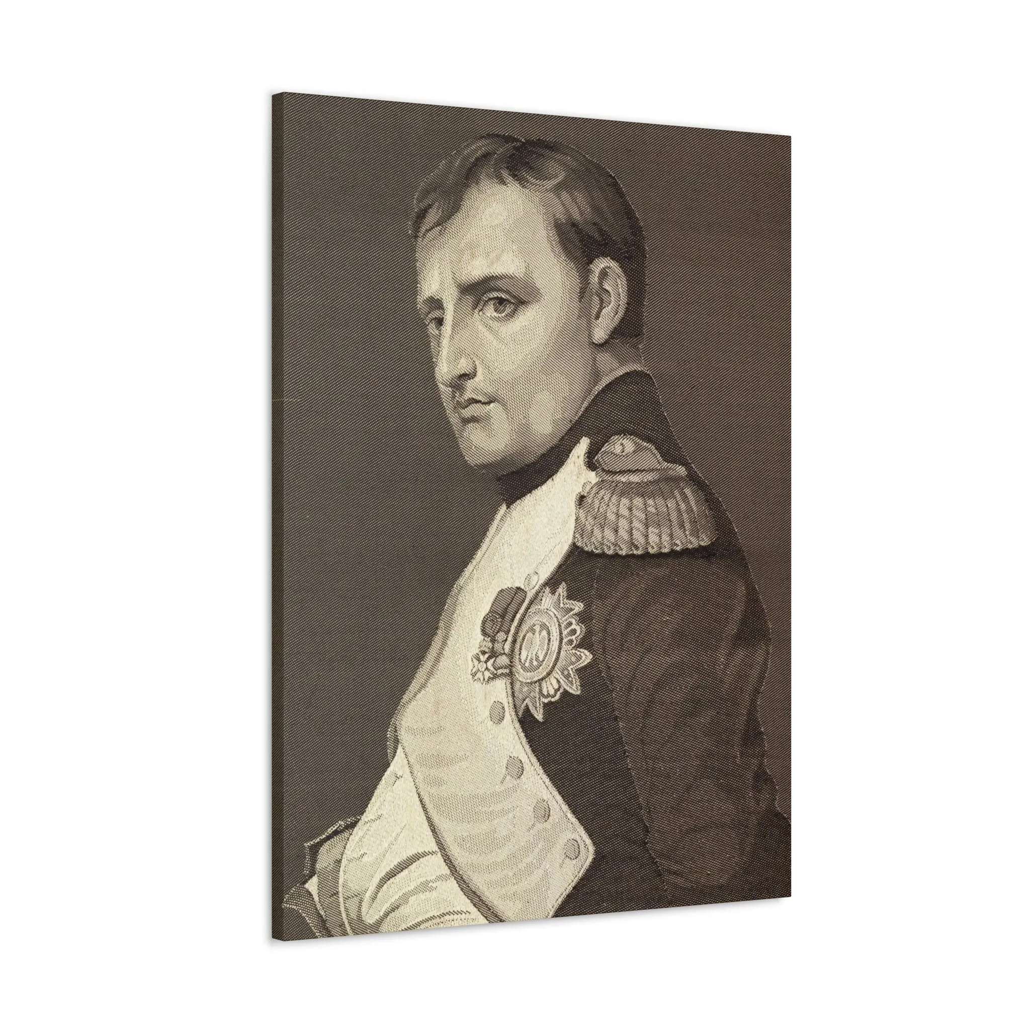 Emperor Napoleon Bonaparte Historical Portrait Canvas Gallery Wraps - Image 9